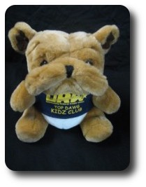 Dollar Bucks Plush Toy