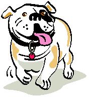 Dollar the Dog 